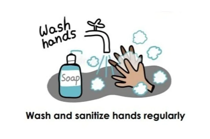 Wash and sanitize hands regularly